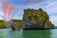 Kilim Geoforest Park, Langkawi, Malaysia