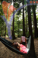 Gunung Ledang - Johor