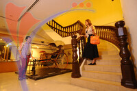 Muzium Negeri