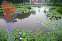 Seri Menanti Museum