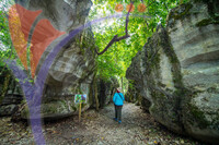 Paku Rock Maze Garden