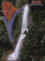 Borneo Highland