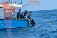 The Royal Pahang Billfish International Challenge