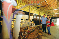 Uk Agro Farm