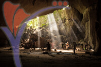 Rainforest Cave in Taman Negara, Malaysia
