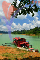 Tasik Pedu