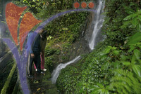 Eco & Agro Tourism - Mount Kinabalu Sabah