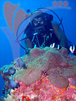 Tenggol Island - Terengganu
