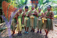 Pulau Carey Mah Meri