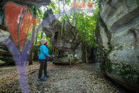 Paku Rock Maze Garden
