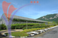 Ladang Anggur