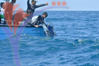 The Royal Pahang Billfish International Challenge