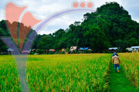 Kampung Ujung Bukit , Perlis