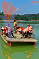 Tasik Pedu