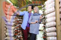 Kilang Cendawan Dxn