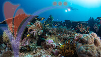Sipadan 11