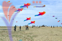 Kelantan International Kite Festival