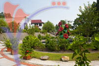 Orchid & Hibiscus Gardens - Kuala Lumpur