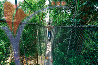 Canopy Walk Guar Chenderai , Perlis