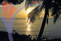 Kapas Island
