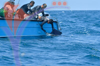 The Royal Pahang Billfish International Challenge