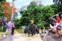 Kuala Gandah