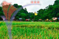 Kampung Ujung Bukit , Perlis