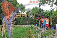 Melaka Zoo