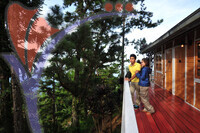 Bukit Larut - Taiping - Perak