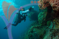 Tenggol Island - Terengganu