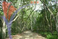 Nature Park
