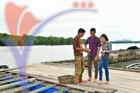 Oyster Farm