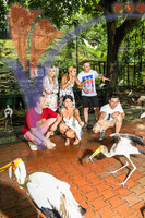 Kuala Lumpur Bird Park, Kl