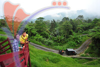 Bukit Larut - Taiping - Perak