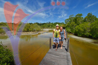 Pulau Tiga