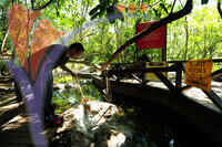 Hot Springs Sungai Klah - Trolak - Perak