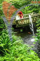 Kuala Lumpur Butterfly Park