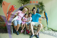 Kuala Lumpur Bird Park - Kuala Lumpur