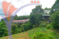 Titi Eco Farm