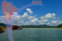 Tasik Pedu
