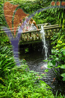 Kuala Lumpur Butterfly Park