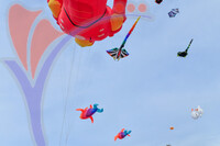 Kelantan International Kite Festival