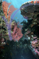 Mataking Island - Sabah