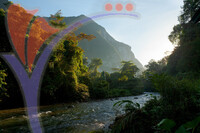 Mulu Scenary