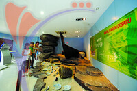 Muzium Nelayan Tanjung Balau