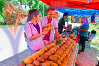 Harum Manis , Perlis