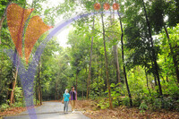 Botanical Garden