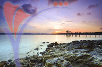 Wooden Jetty At Marina Island, Lumut