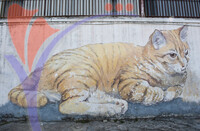 Street Art - Penang