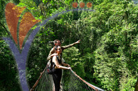 Mulu Canopy Walk, Sarawak